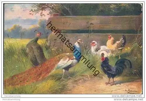 Hühner - Pfauen - signiert Alfred Schönian München