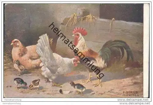 Hühner - Hahn - Küken - signiert E. Dorno München