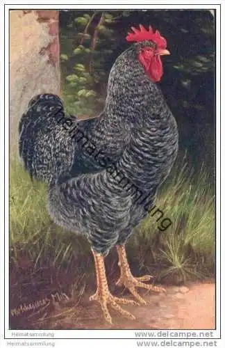 Huhn - signiert Otto Scheuerer