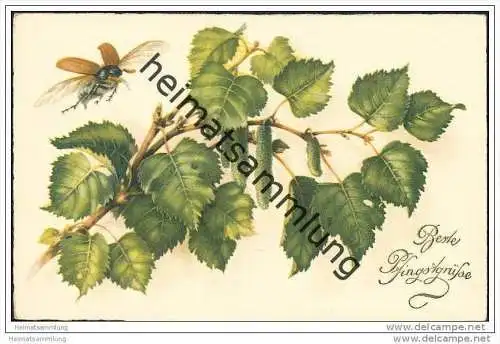 Pfingsten - fliegender Maikäfer