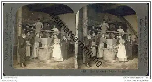 Bingen - Weinpresse - Keystone View Company - Stereofotographie