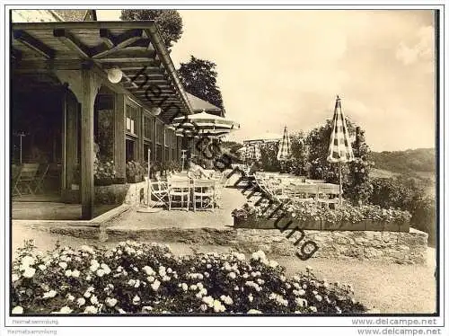 Langenburg - Schloss-Cafe im Rosengarten - Foto-AK Grossformat