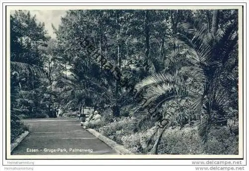 Essen - Gruga-Park - Palmenweg 30er Jahre