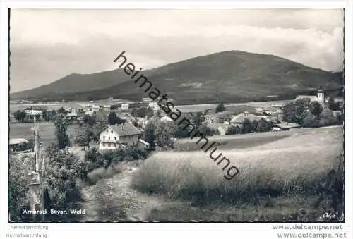 Arnbruck - Foto-AK