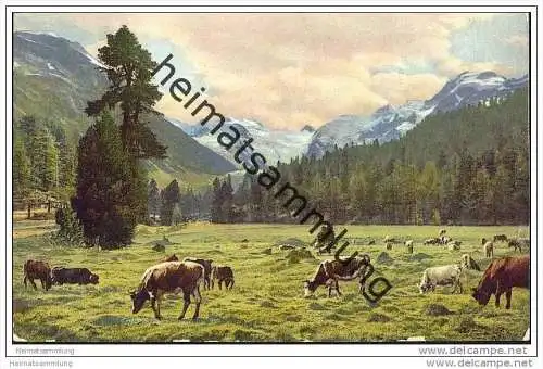 Kühe auf der Weide - Werbekarte Gemit die Qualitätsschokolade Pralinen Kakao