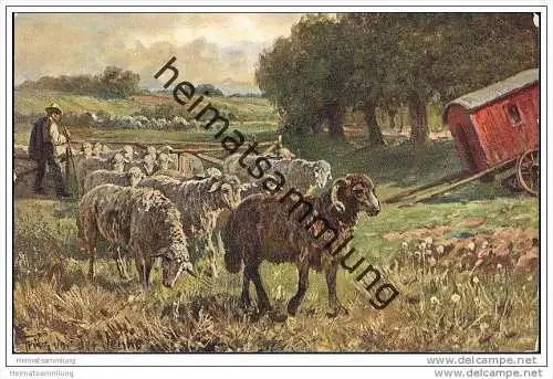 Tiere - Schafe - signiert Fritz von der Venne