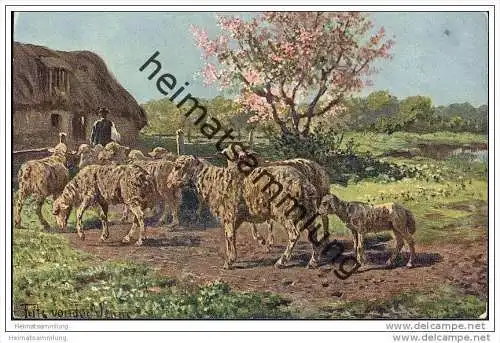 Tiere - Schafe - signiert Fritz von der Venne