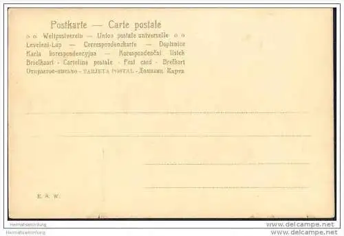 Jagd - Hirsch im Wald