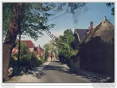 24217 Schönberg - Strassenansicht - AK-Grossformat