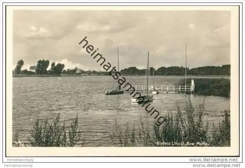 Einfelder See - Segelboote - Foto-AK 30er Jahre