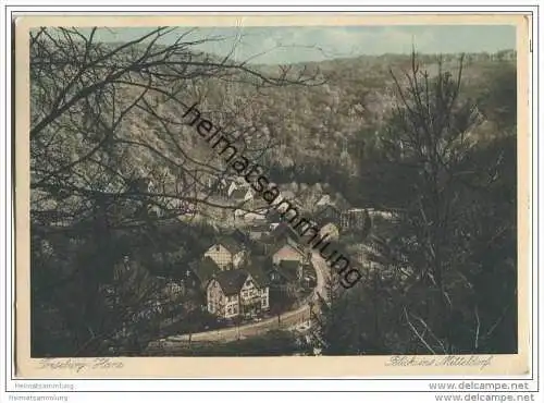 Treseburg i. Harz - Blick ins Mitteldorf