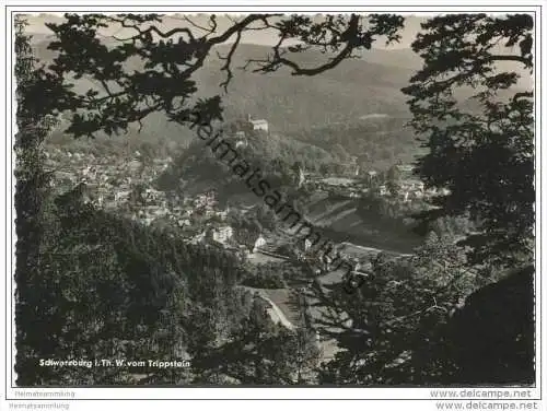 Schwarzburg in Thüringen vom Trippstein - Foto-AK Grossformat 60er Jahre