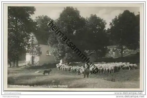 Truppenübungsplatz Heuberg - Dreitritten Kapelle - Schafherde - Foto-AK