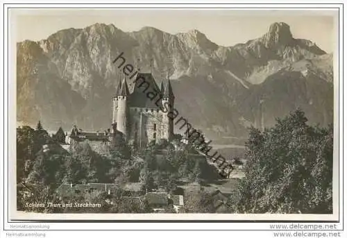 Thun - Schloss und Stockhorn - Foto-AK
