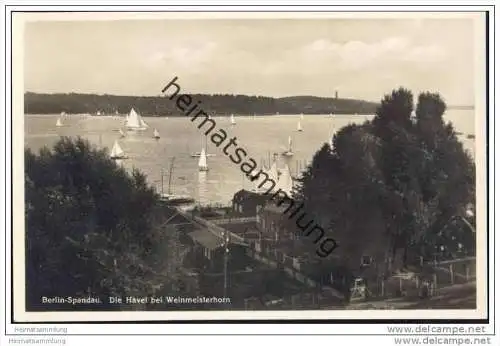 Berlin-Spandau - Die Havel bei Weinmeisterhorn - Foto-AK 30er Jahre