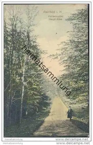 Reinfeld i. H. - Fohlenkoppel - Haupt-Allee - Bahnpoststempel