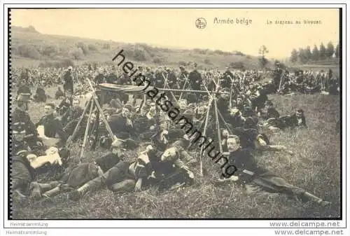 Belgien - Militär - Armée belge - Le drapeau au bivouac