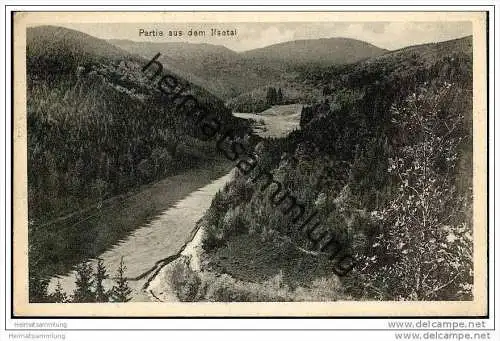Partie aus dem Ilsetal