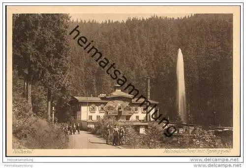 95119 Naila-Marxgrün - Höllental - Holzschleiferei mit Springquell