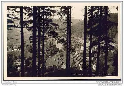 Wildemann Harz - Foto-AK