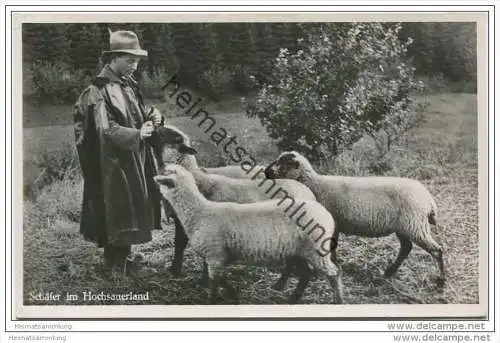 Schäfer und Schafe im Hochsauerland