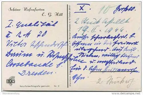 Rosen - Sorte E. G. Hill - Naturfarbenfotografie gedruckt - Verlag Dresdner Farbenfotografische Werkstätte 1944