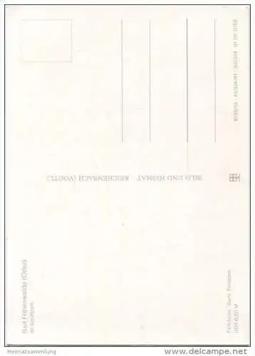 Bad Freienwalde - im Stadtpark - AK Großformat - Verlag Bild und Heimat Reichenbach