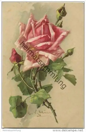 Blumen - Rosen - Catharina C. Klein - Serie 324