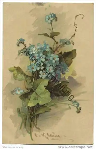 Blumen - Vergissmeinnicht - Catharina C. Klein - Serie 324