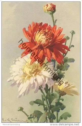 Blumen - Astern - Catharina C. Klein - Verlag St. F. Z. Switzerland N° 1330
