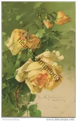 Blumen - Rosen - Catharina C. Klein