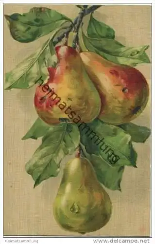 Früchte - Birnen - Catharina C. Klein - Verlag G. O. M. 1337