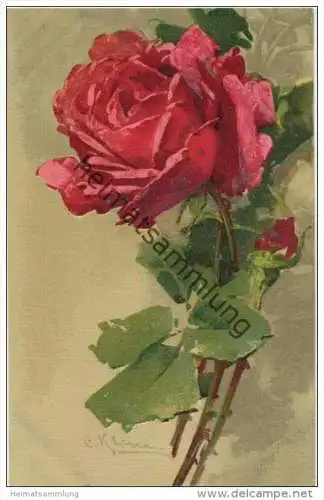 Blumen - Rosen - Catharina C. Klein - Verlag G. O. M. 1600