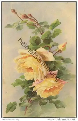 Blumen - Rosen - Catharina C. Klein - Verlag B. Dondorf GmbH Frankfurt/M N° 243