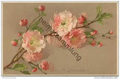 Mandelblüte - Catharina C. Klein - Verlag Meissner &amp; Buch Leipzig - Serie 1644 Mandelblüte