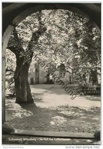 Wittenberg - Im Hof des Lutherhauses - Foto-AK Grossformat - Heldge-Verlag KG Köthen