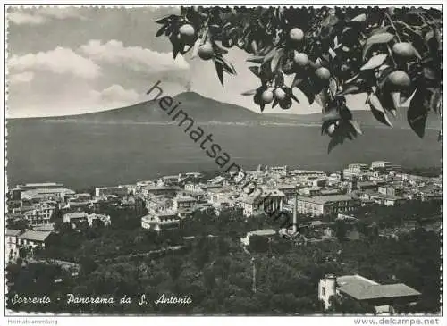 Sorrento - Panorama da S. Antonio - Foto-AK Grossformat - Vera Fotografia - Edizione Vincenzo Carcavallo Napoli