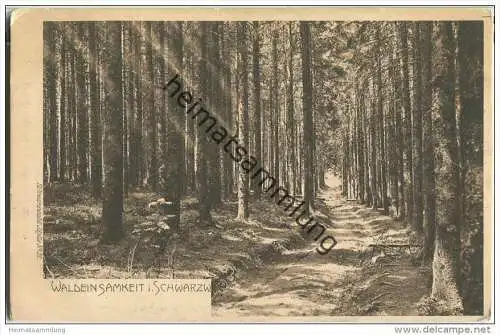 Schwarzwald - Waldeinsamkeit