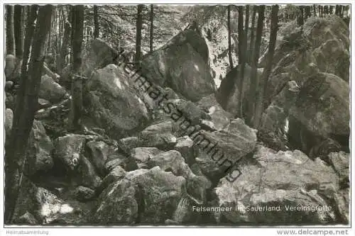 Felsenmeer im Sauerland - Foto-AK - Cramers Kunstanstalt KG Dortmund