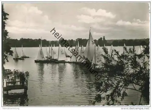 Berlin - Oberhavel - Segelregatta - Foto-AK