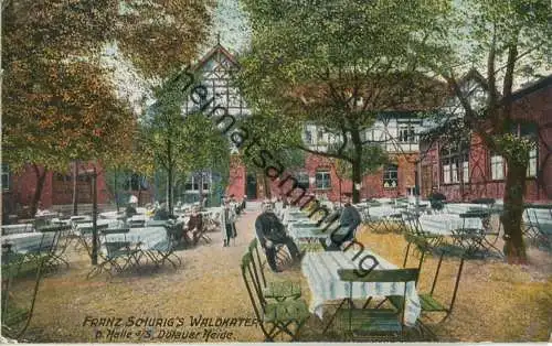 Halle - Franz Schurig's Waldkater - Dölauer Heide - Feldpost - Verlag H. Leistenschneider Halle