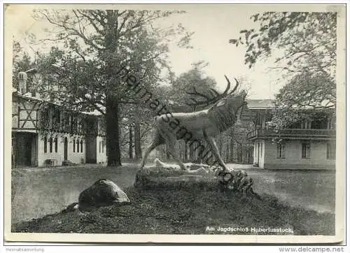 Am Jagdschloss Hubertusstock - Foto-AK Grossformat - Verlag Foto Bremer Joachimsthal gel. 1935