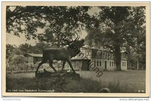 Im Park vom Jagdschloss Hubertusstock - Foto-AK 30er Jahre - Verlag Rudolf Lambeck Berlin