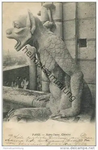 Paris - Notre-Dame Chimère gel. 1909