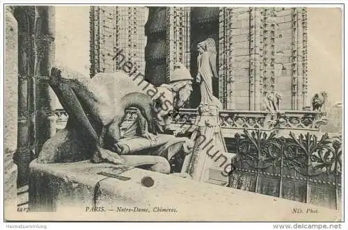 Paris - Notre-Dame Chimère gel. 1909