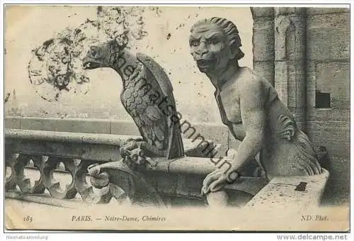 Paris - Notre-Dame Chimère gel. 1909