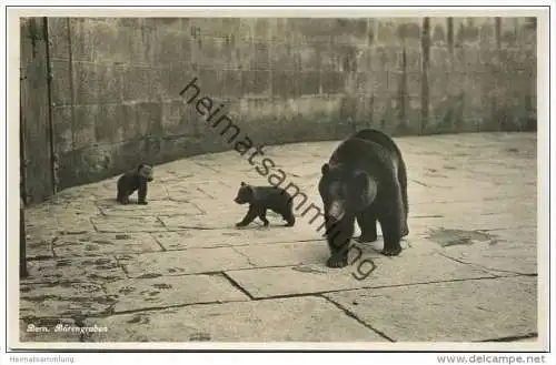 Bern - Bärengraben 1933 - Foto-AK