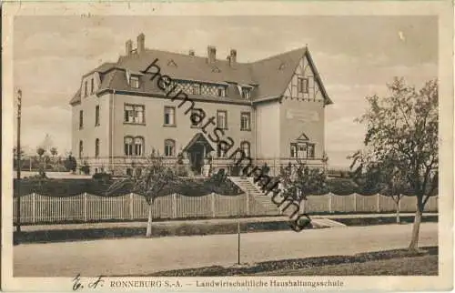 Ronneburg - Landwirtschaftliche Haushaltungsschule - Verlag Richard Zieschank Ronneburg