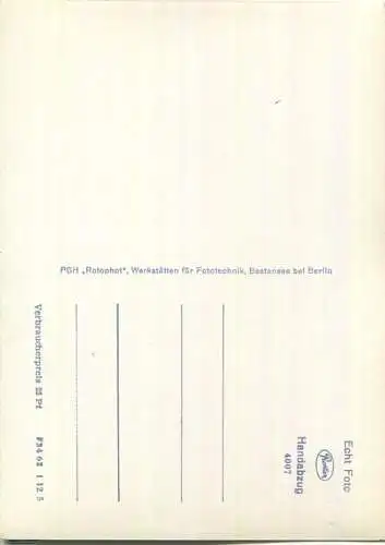 Kloster Chorin - Hauptportal - Foto-Ansichtskarte Grossformat - Handabzug - Verlag Rotophot Bestensee 60er Jahre