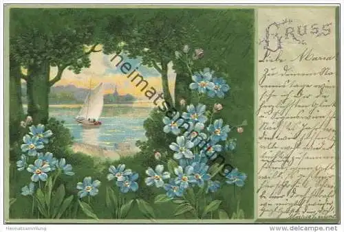 Vergissmeinnicht - Blick auf den See - Prägedruck - Bahnpost Holzminden Aachen Zug 400